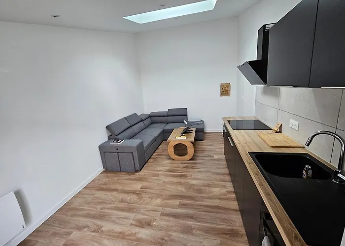 Accueillant T2 Avec Terrasse Privee *